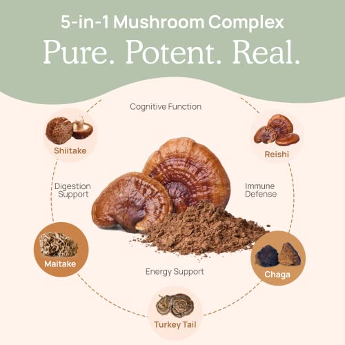 Real Mushrooms 5 Defenders Organic Mushroom Extract 90 Caps