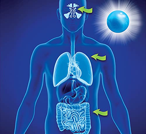 Enzymedica, Immune Max Quick Melt Mints, Probiotics for Respiratory and Immune Support