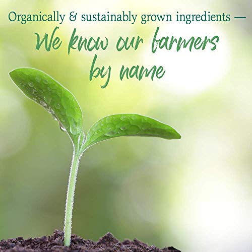 Garden of Life Raw Organic Perfect Food Green Superfood Juiced Greens Powder - Apple, 30 Servings (Packaging May Vary) - Vegan Gluten Free Whole Food Dietary Supplement, Plus Probiotics & Enzymes