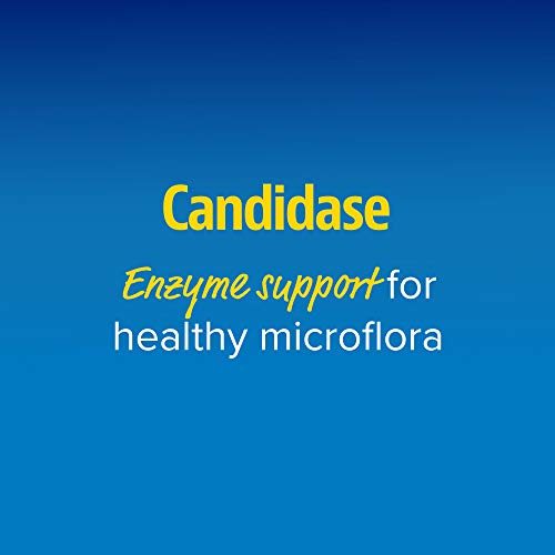 Enzymedica, Candidase, 84 Capsules, Enzyme Supplement to Support Balanced Yeast Levels and Digestive Health, Vegan, 42 Servings