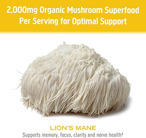 Om Mushroom Superfood Lion's Mane Mushroom Capsules 180 Count