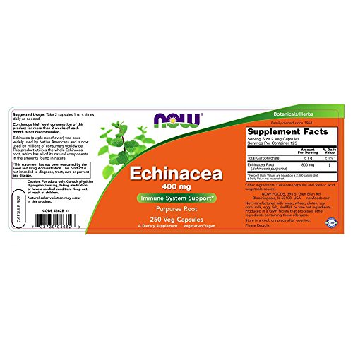 NOW Supplements, Echinacea (Purpurea-Wurzel) 400 mg, Unterstützung des Immunsystems*, 250 vegetarische Kapseln