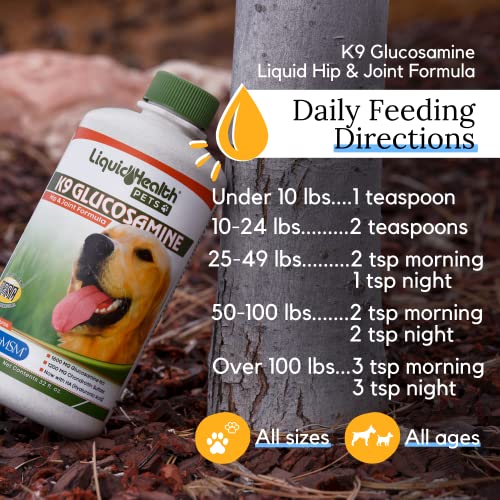 LIQUIDHEALTH K9 Liquid Glucosamine for Dogs 32 OZ