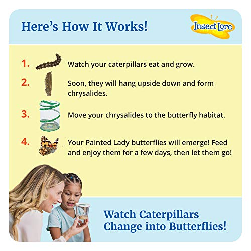 Butterfly Garden: Original Habitat and Two Live Cups of Caterpillars with STEM Butterfly Journal – Life Science & STEM Education – Butterfly Science Kit