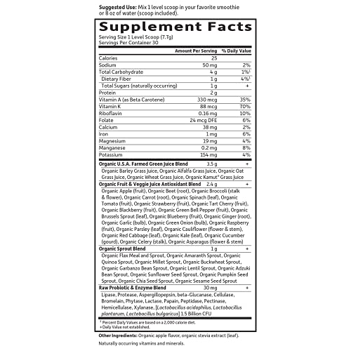 Garden of Life Raw Organic Perfect Food Green Superfood Juiced Greens Powder - Apple, 30 Servings (Packaging May Vary) - Vegan Gluten Free Whole Food Dietary Supplement, Plus Probiotics & Enzymes