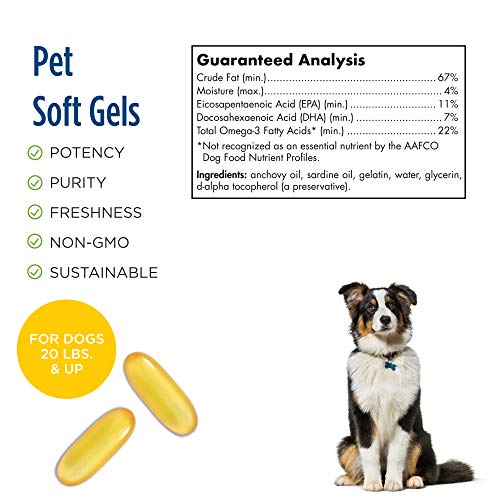 Nordic Naturals Omega-3 Pet, Unflavored - 330 mg Omega-3 Per Soft Gel - 180 Soft Gels - Fish Oil for Dogs with EPA & DHA - Promotes Heart, Skin, Coat, Joint, & Immune Health