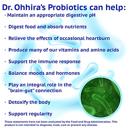 Dr. Ohhira’s Probiotics Original Formula 60 Capsules