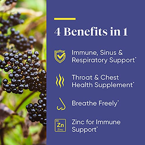 Enzymedica, Black Elderberry Powder, Travel-Friendly Immune Support, 30 Powder Packs