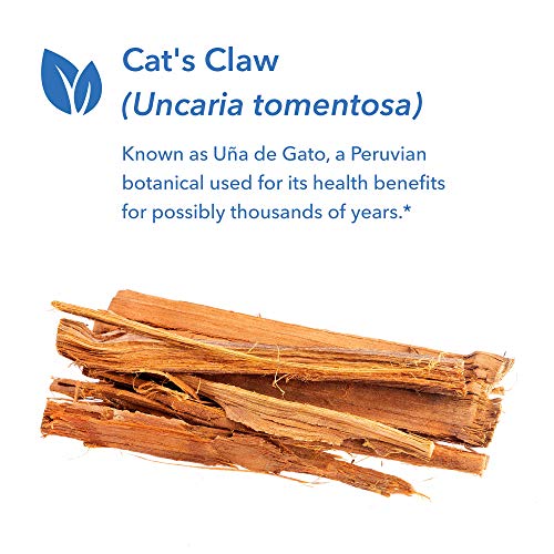 Allergy Research Group - Cat's Claw Inner Bark Extract - Immune Support - 60 Vegetarian Capsules