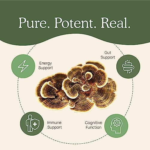 Real Mushrooms Turkey Tail Powder 100gm, 3.53 oz, 100 Servings