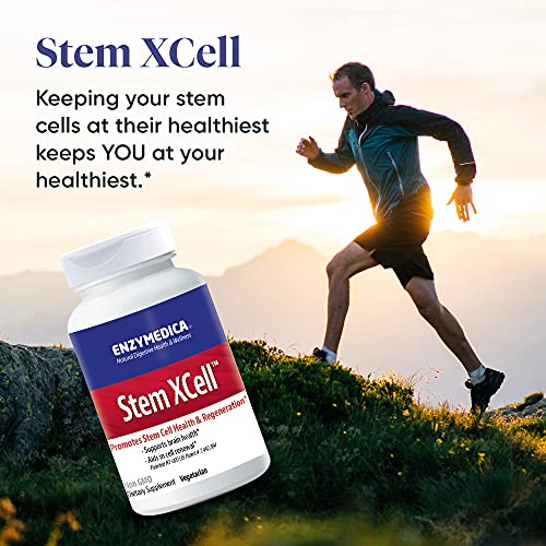 Enzymedica, Stem XCell, Enzyme and Antioxidant Support for Brain and Cellular Health, 60 Capsules