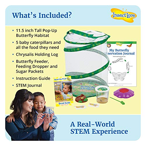 Butterfly Garden: Original Habitat and Live Cup of Caterpillars with STEM Butterfly Journal – Life Science & STEM Education – Butterfly Science Kit