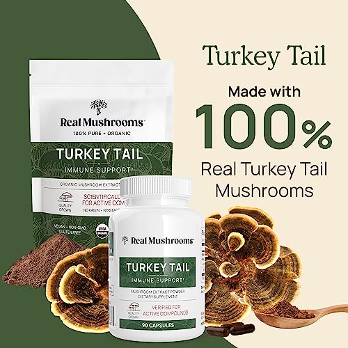 Real Mushrooms Turkey Tail Powder 45gm, 1.59oz, 45 Servings