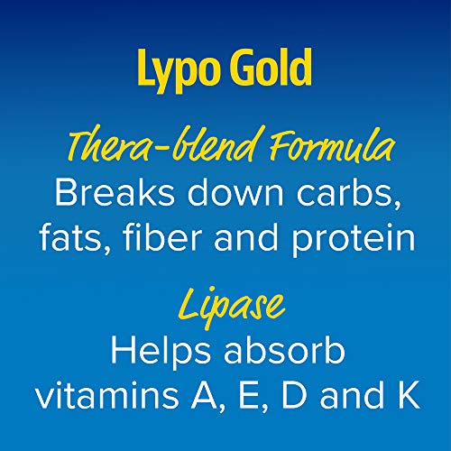 Enzymedica Lypo Gold, Concentrated Amounts of Lipase Enzyme, for Fatty Food Digestion, 240 Capsules (240 Servings)