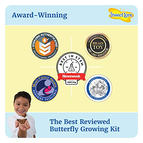 Butterfly Garden: Original Habitat and Live Cup of Caterpillars with STEM Butterfly Journal – Life Science & STEM Education – Butterfly Science Kit