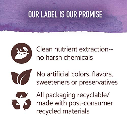 Garden of Life Organics Elderberry Gummies for Adults & Kids 120 Vegan Gluten Free Gummies