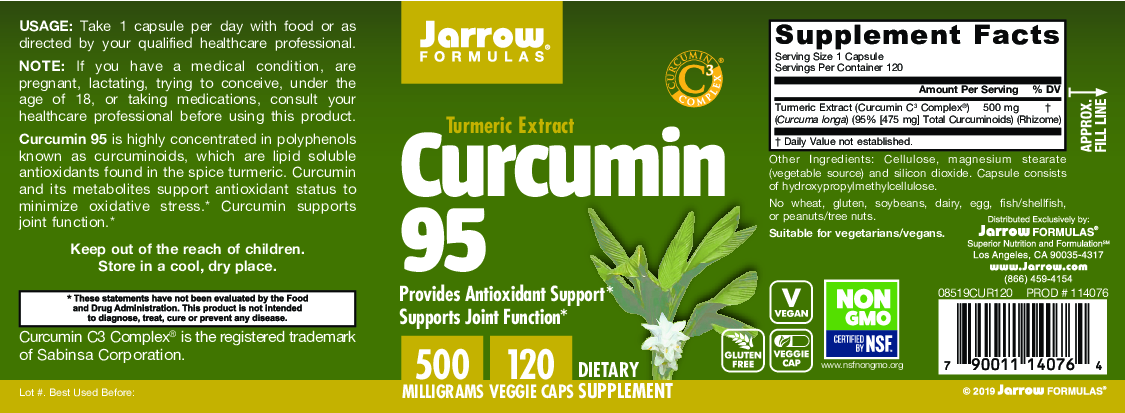 Jarrow Formulas Curcumin 95 500 mg 120 caps