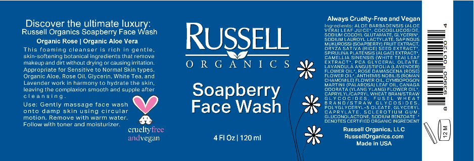 Russell Organics Soapberry Face Wash 4 fl oz