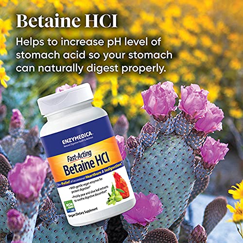 Enzymedica Betaine HCl 120 Capsules