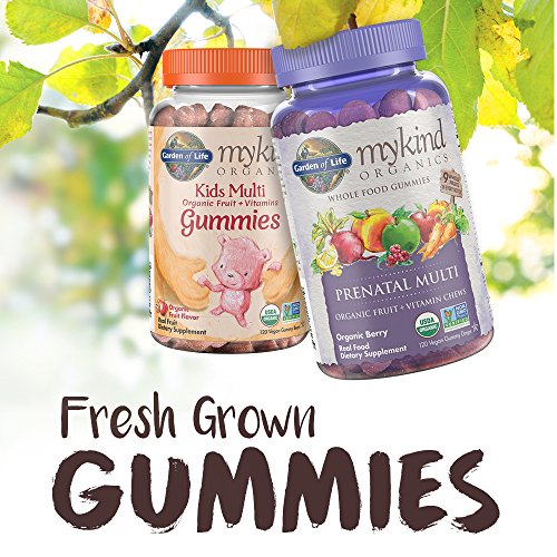 Garden of Life Organics Prenatal Multi 120 Vegan Gummies Berry Flavor