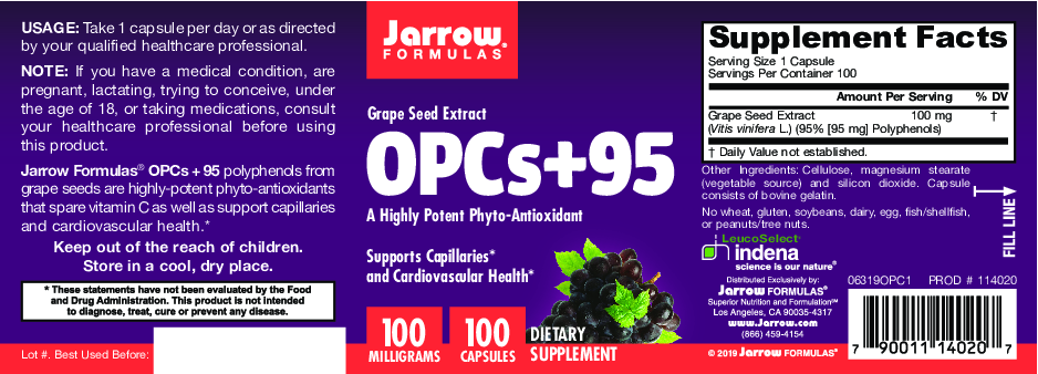 Jarrow Formulas OPCs+95 Grape Seed Extr.100 mg 100 caps