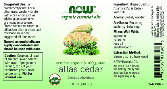 NOW Atlas Cedar Oil Organic 1 fl oz