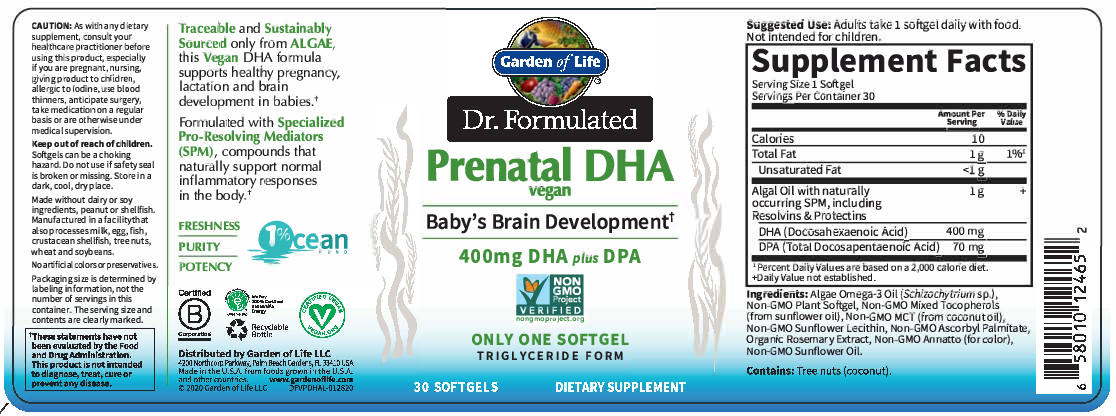 Garden of Life Dr. Form Prenatal DHA vegan 30 softgels