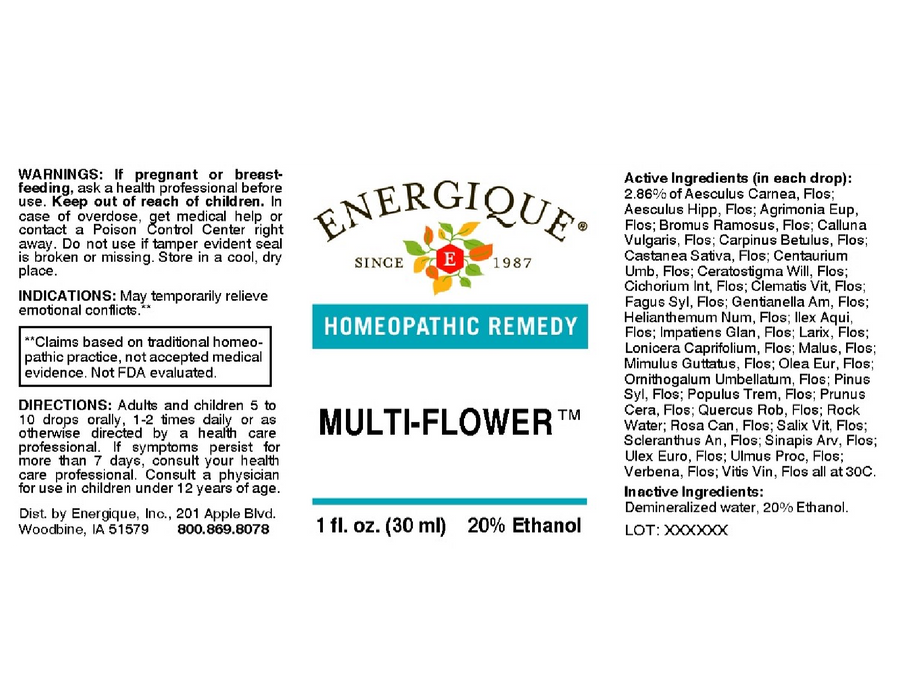 Energique Multi-Flower 1 жидкая унция