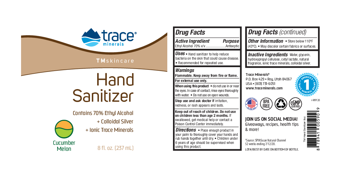 Trace Minerals Research TMSkincare Hand Sanitizer